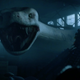 Image for article titled Tonight's Zoo Is Gonna Have a Tough Time Topping Last Week's Giant, Invisible, Human-Gobbling Snake